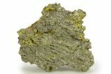 Golden Pyrite on Limonite Clay - Pakistan #283726-1